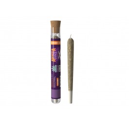 Joint Pre-Rolls Green & Co - Amnesia Haze 3 szt.